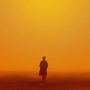 少年潘金莲的奶头好大
