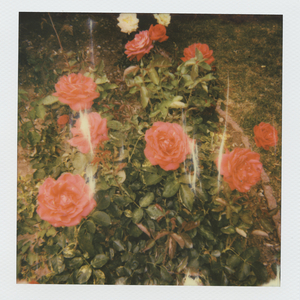 少年潘金莲的奶头好大
