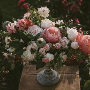 少年潘金莲的奶头好大
