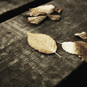 少年潘金莲的奶头好大
