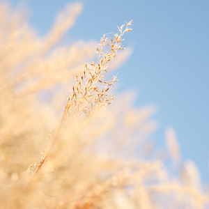 少年潘金莲的奶头好大
